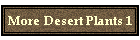 More Desert Plants 1