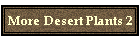 More Desert Plants 2