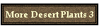 More Desert Plants 3