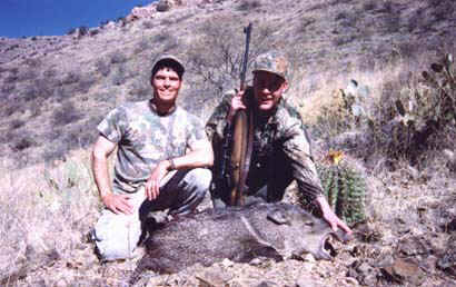 Javelina Hunting with rifle - Arizona Guided Hunts Outfitters and Guides
